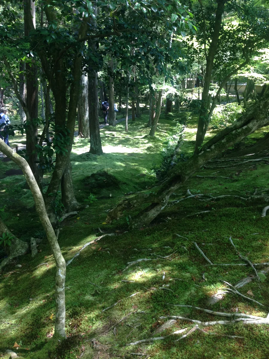 投稿写真：西芳寺