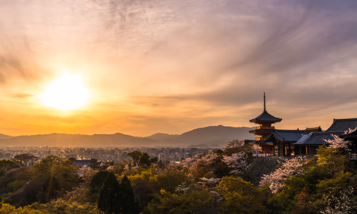 投稿写真：桜咲く　春の清水寺の夕日