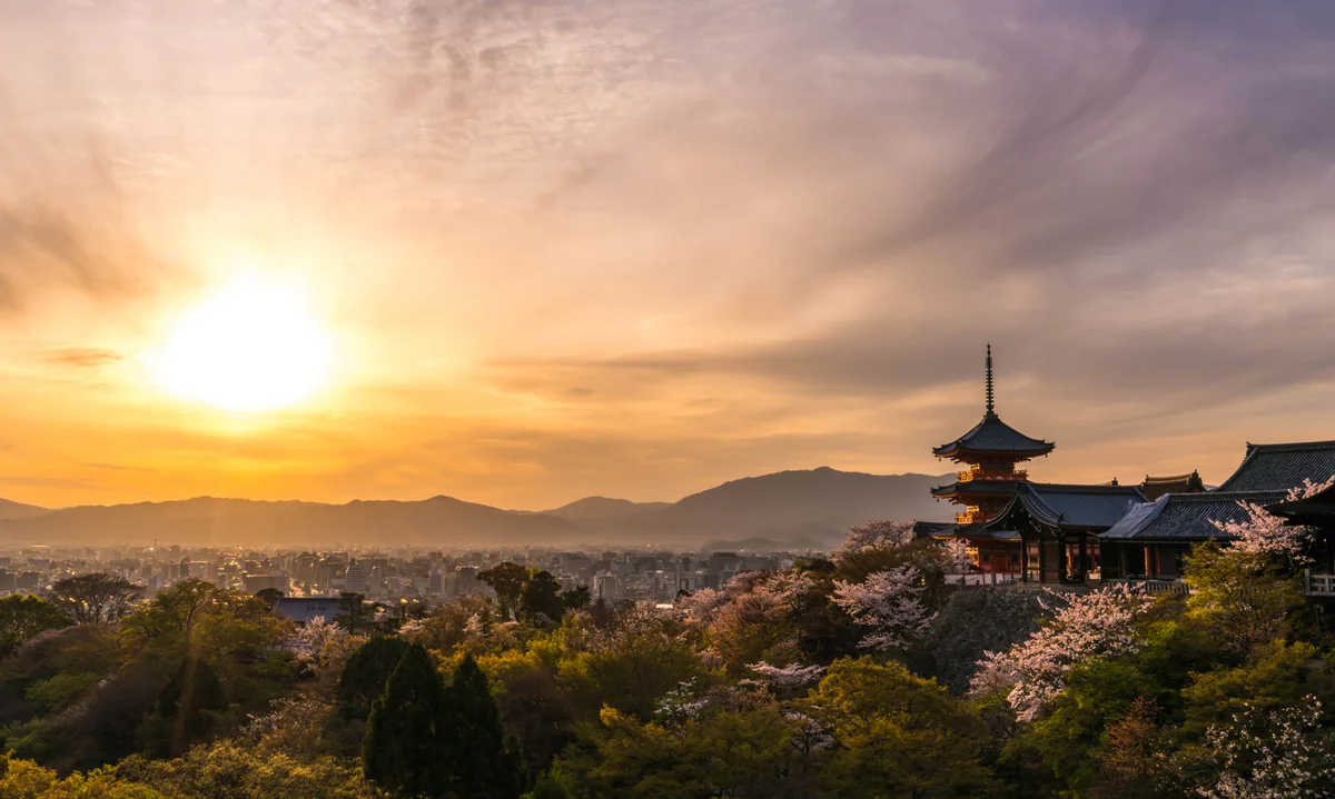 投稿写真：桜咲く　春の清水寺の夕日