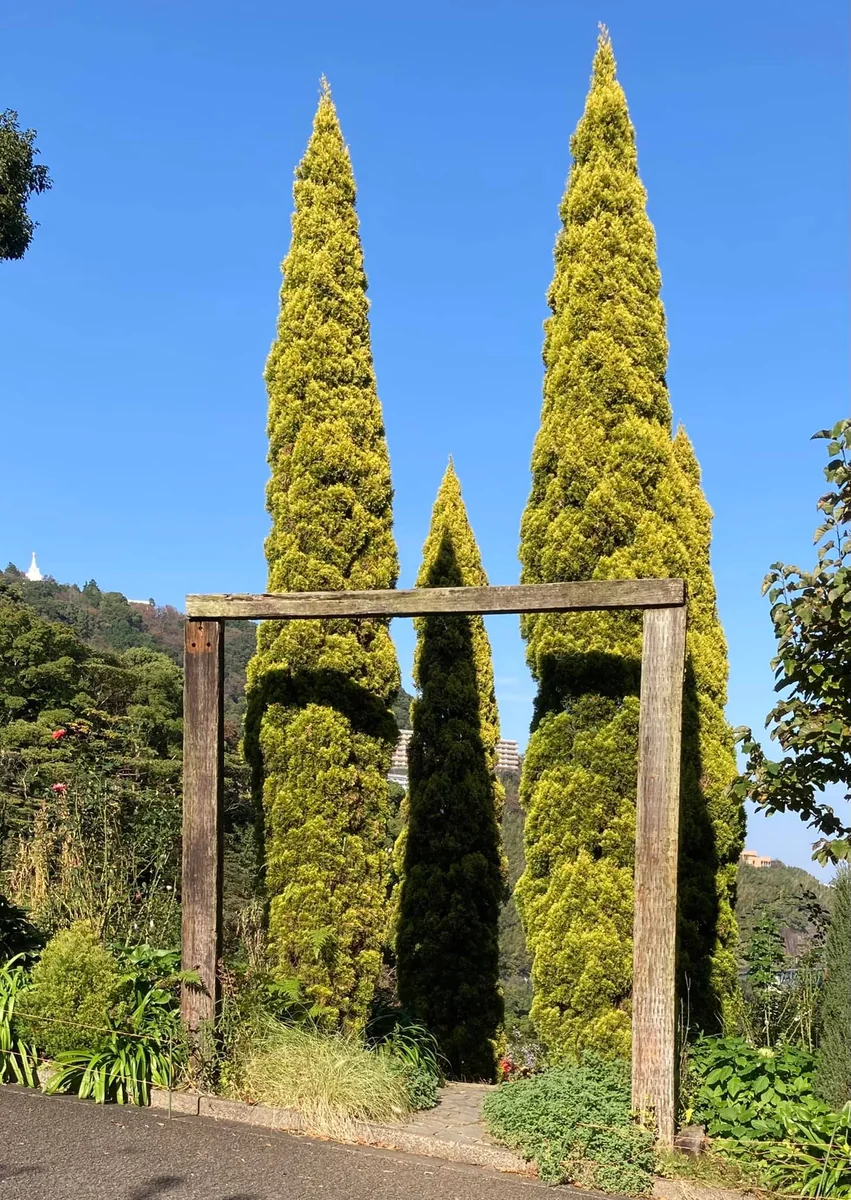 投稿写真：熱海アカオハーブ＆ローズガーデン