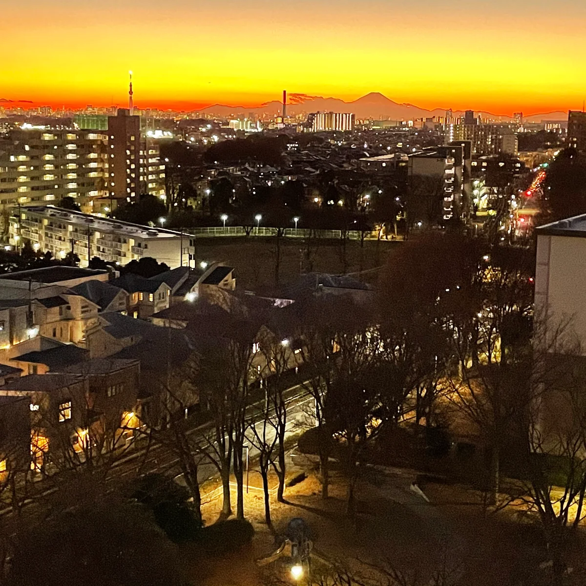 投稿写真：End of the day