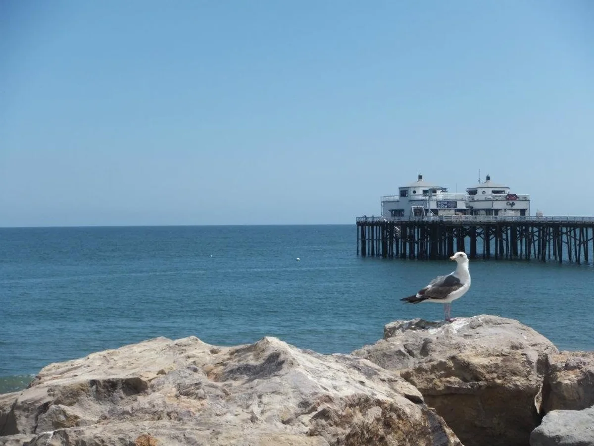 投稿写真：憧れのカリフォルニア！マリブビーチ！