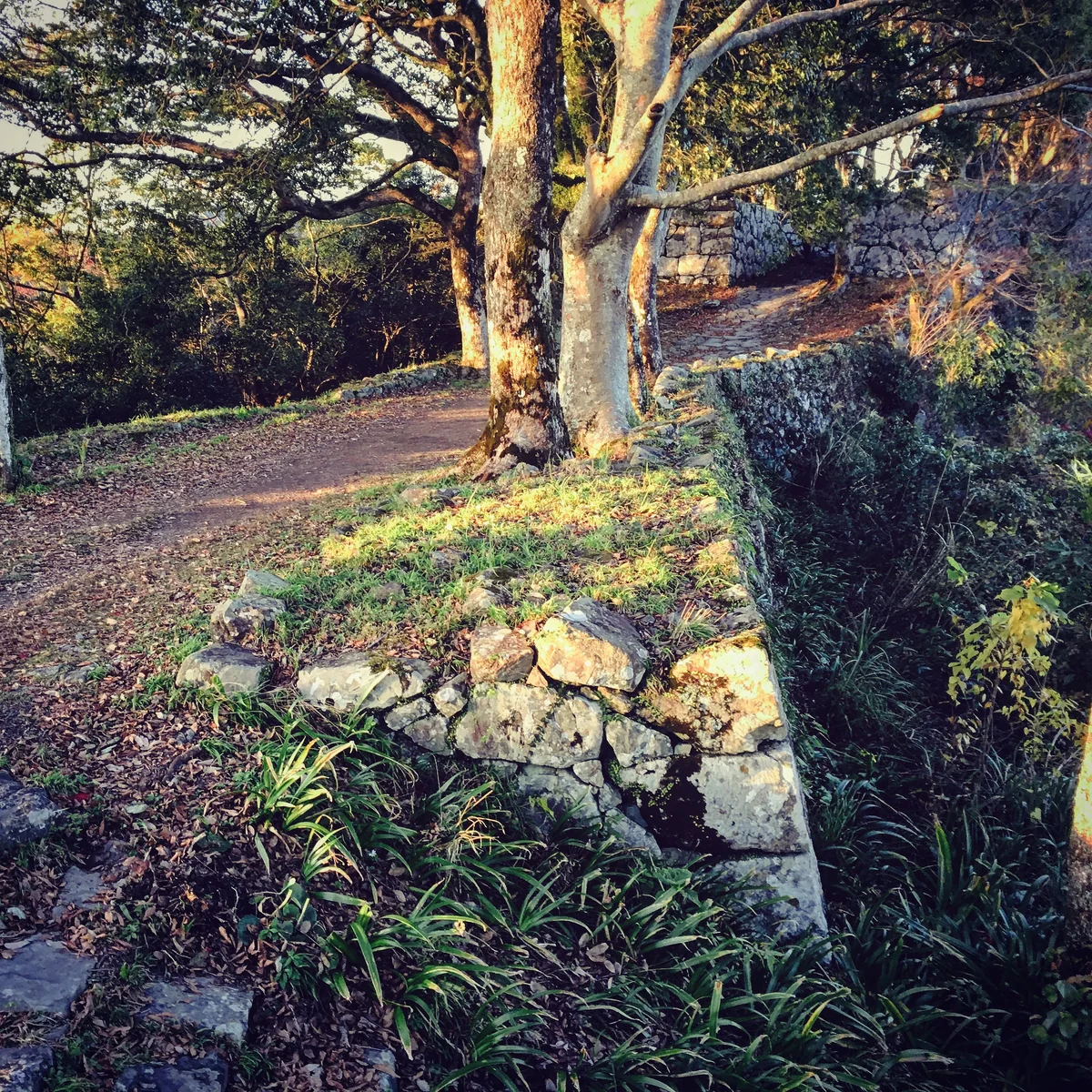 投稿写真：佐伯城