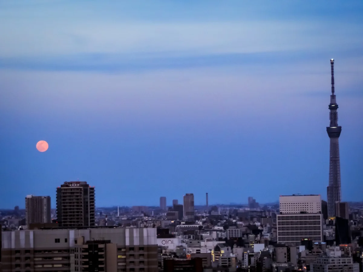 投稿写真：満月とスカイツリー