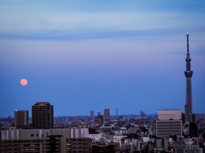  | 絶景事典