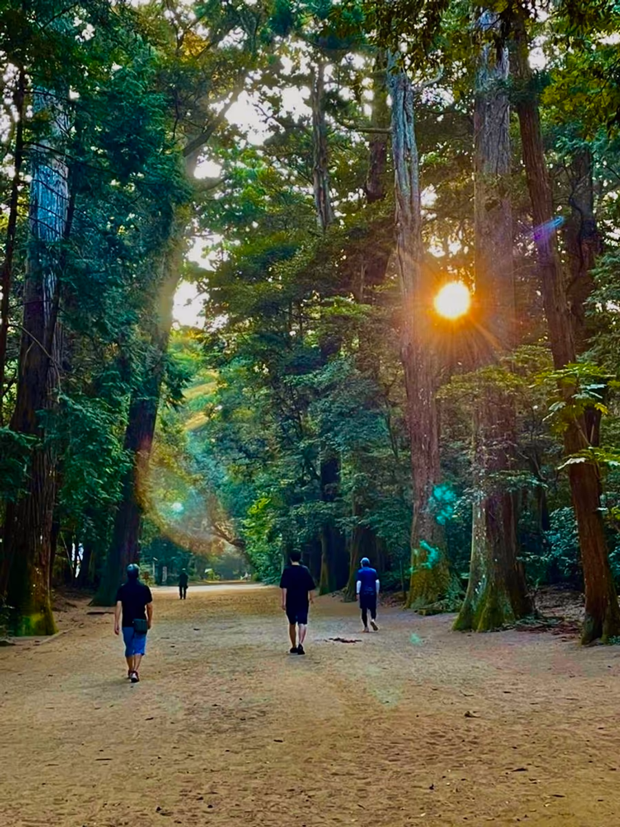 投稿写真：朝日の光に包まれて