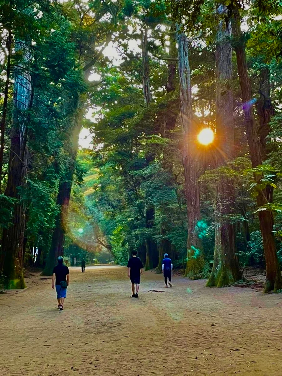 投稿写真：朝日の光に包まれて