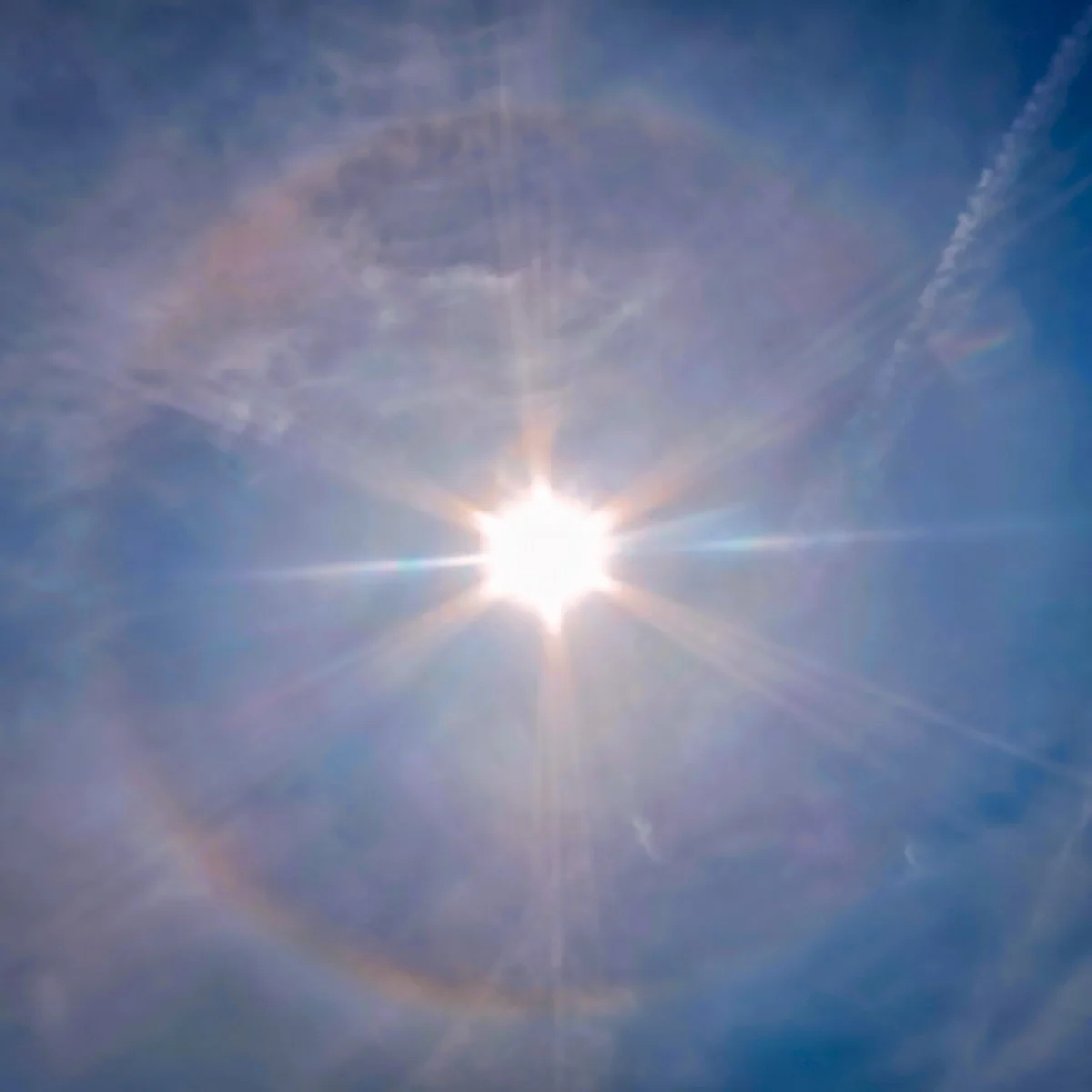 投稿写真：ハロ