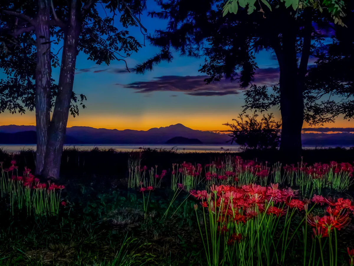 投稿写真：荘厳なる夜明け