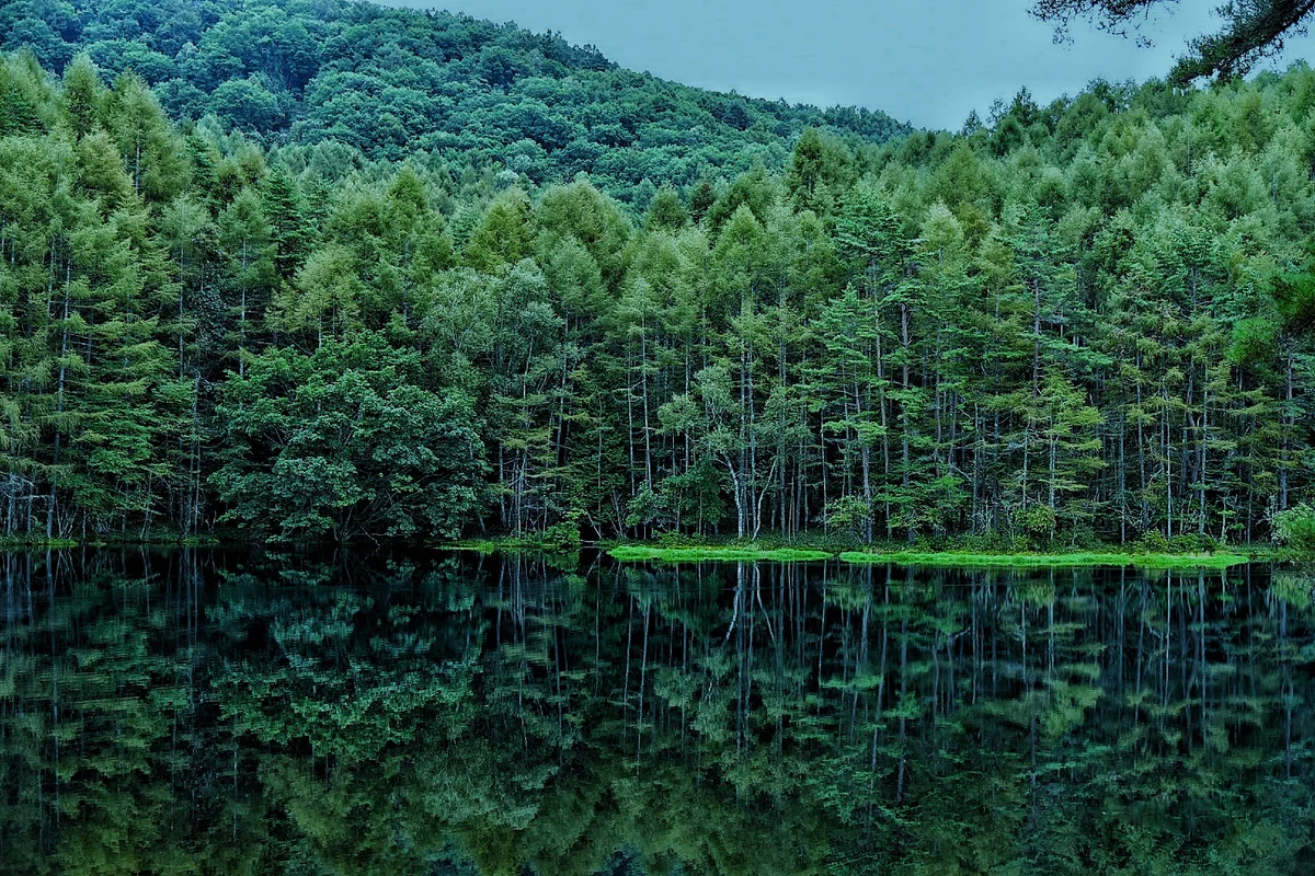望月 雄磨さんの投稿写真