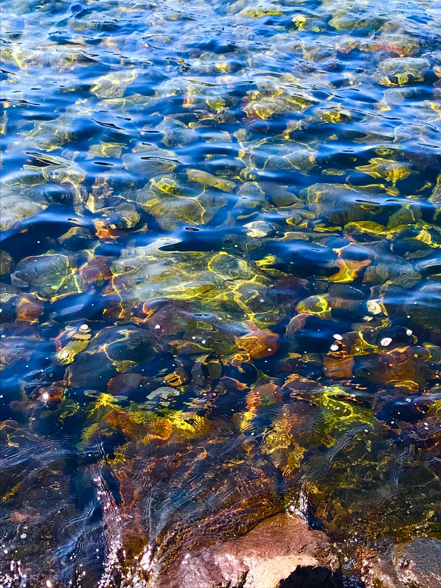 投稿写真：うぉぉぉぉー！！！たぁぁぁぁー！！orzヽ= =33