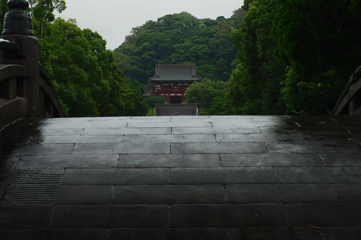 投稿写真：鶴岡八幡宮