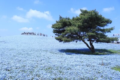  | 絶景事典