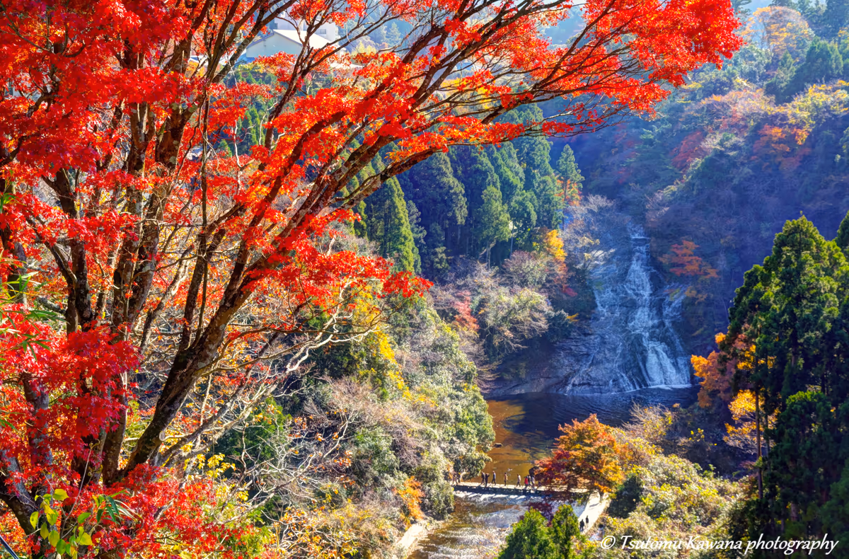 投稿写真：房総・秋色風景　（頑張れ！房総～！）