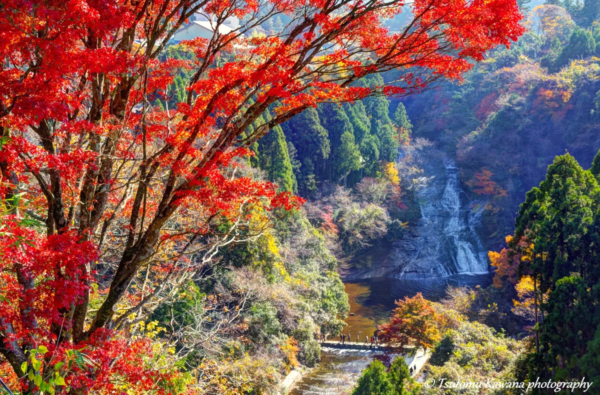 投稿写真：房総・秋色風景　（頑張れ！房総～！）