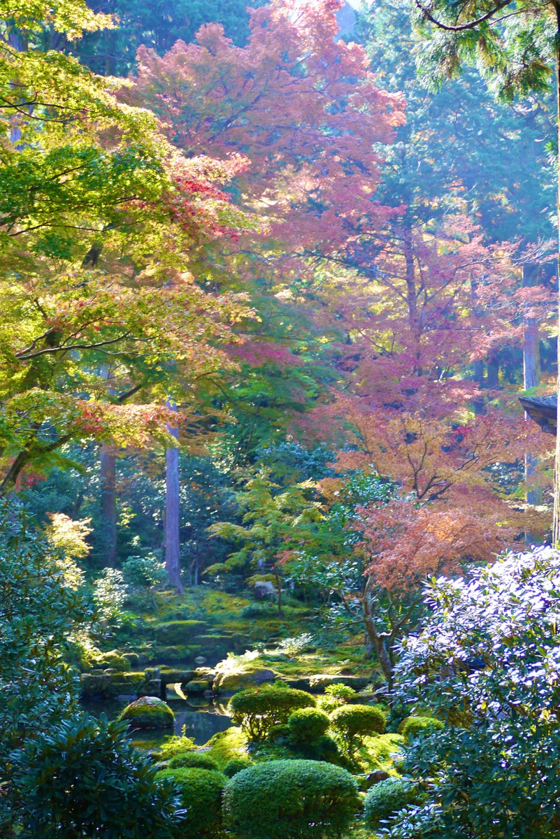 投稿写真：京都 大原三千院門跡の秋 有清園の弁天池