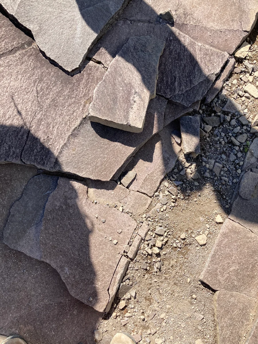 投稿写真：王が頭