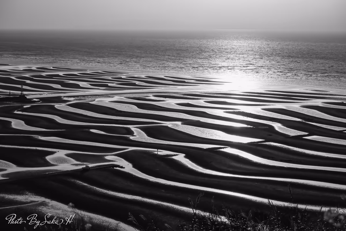 投稿写真：静寂