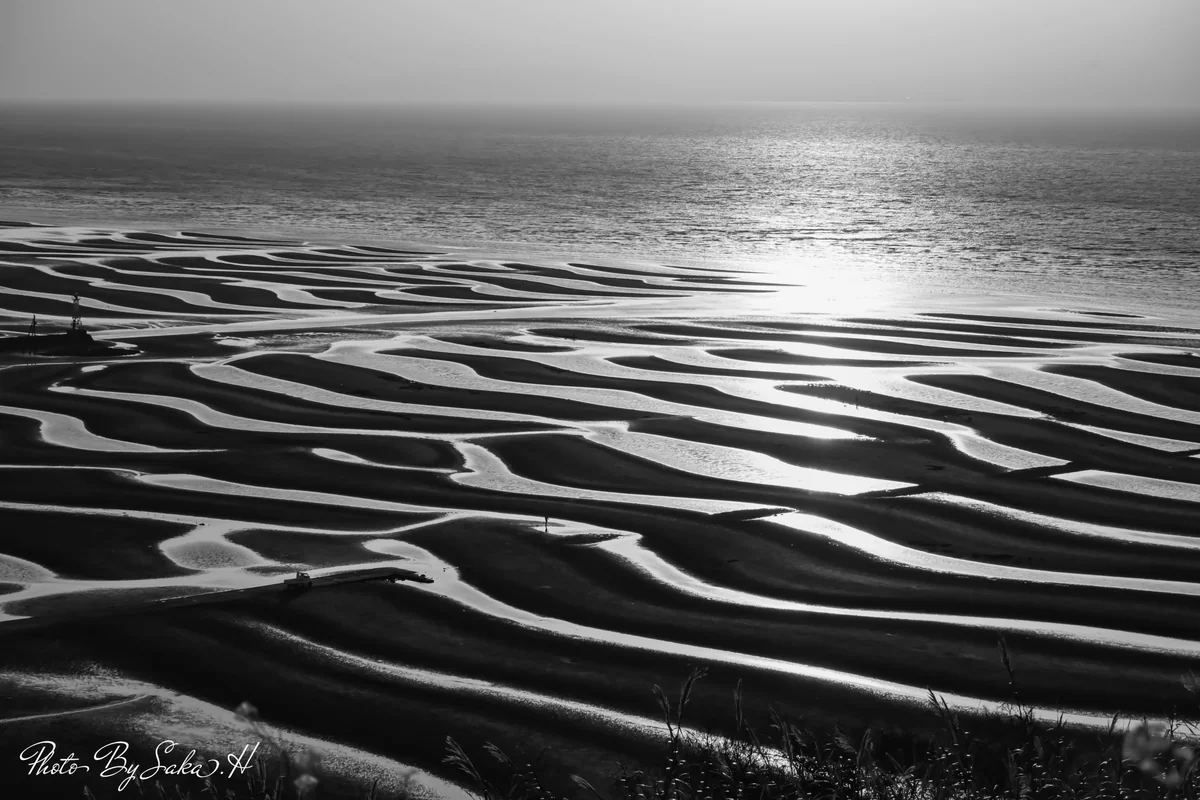 投稿写真：静寂