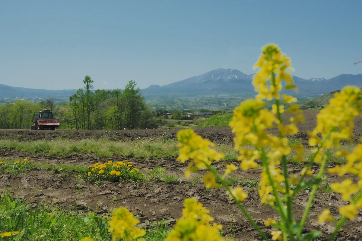 投稿写真：田園