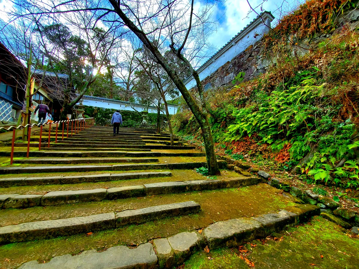 投稿写真：優しい階段