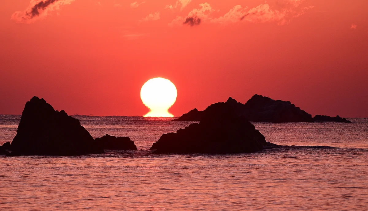 投稿写真：初めてのだるまさん