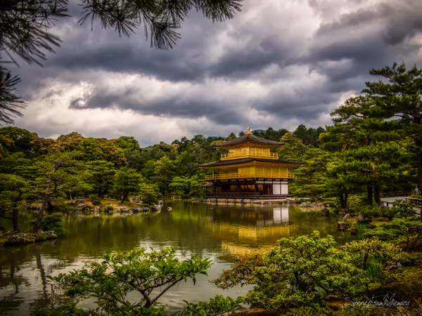 投稿：Gold And Green
