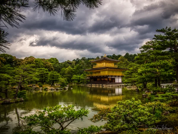 投稿：Gold And Green