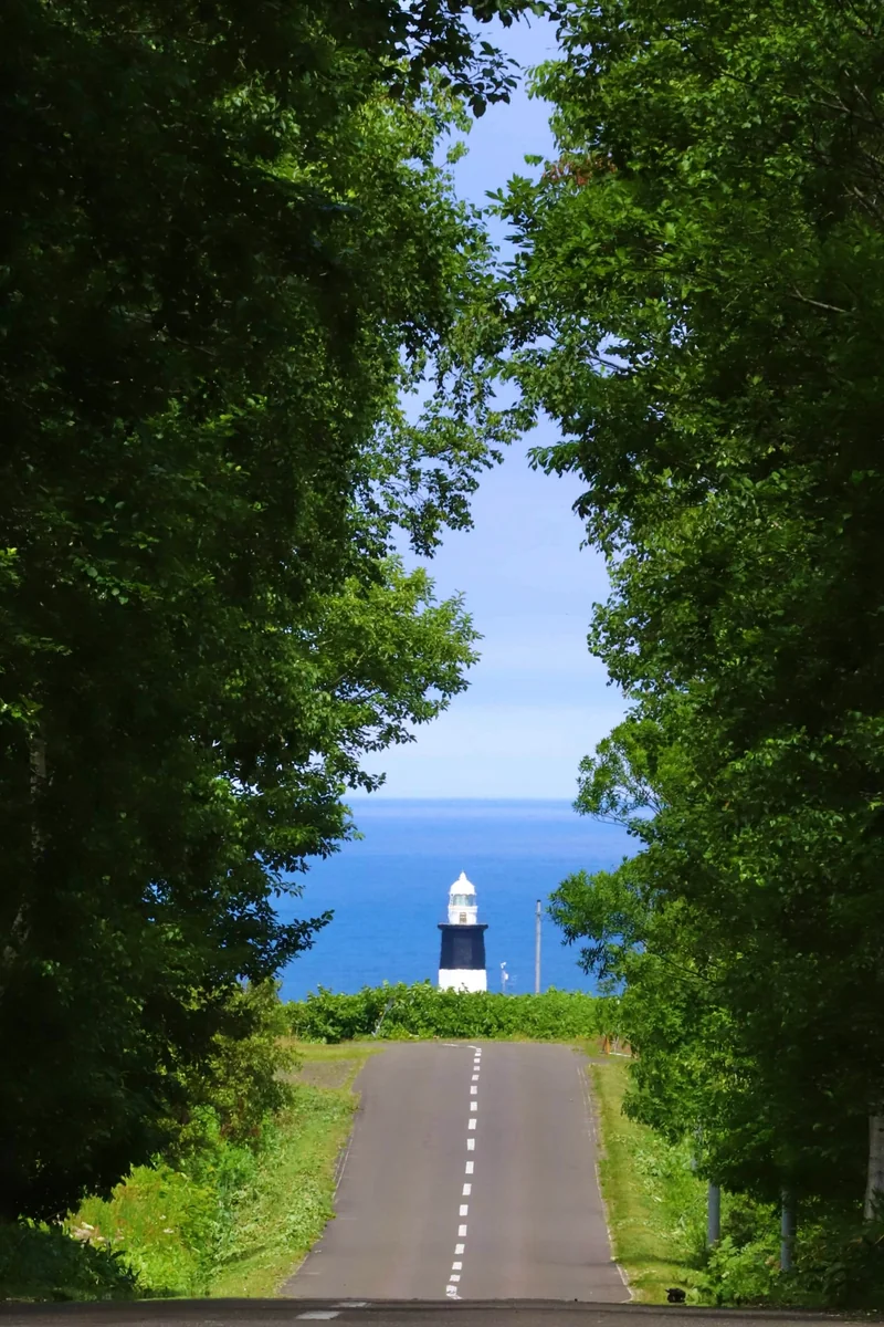 投稿写真：能取灯台への道