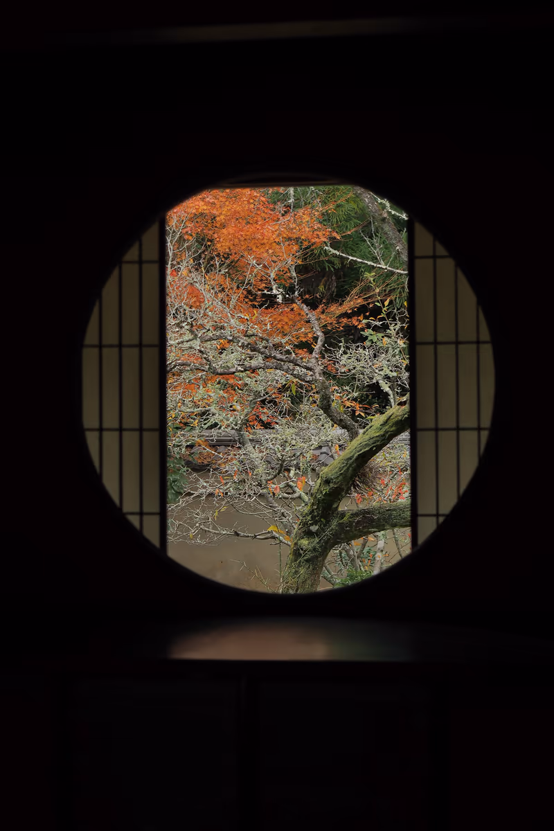 投稿写真：雲龍院　悟りの窓　秋