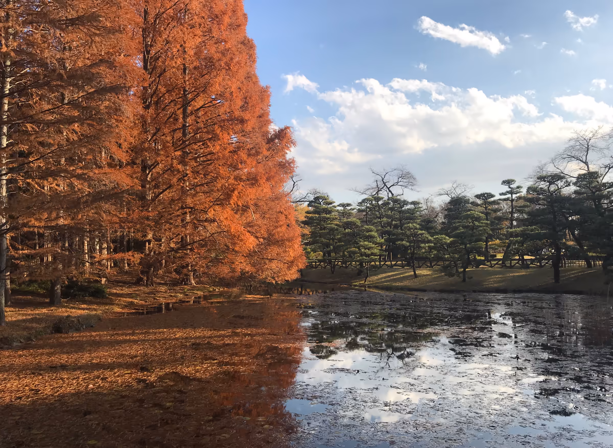 投稿写真：秋最終章2