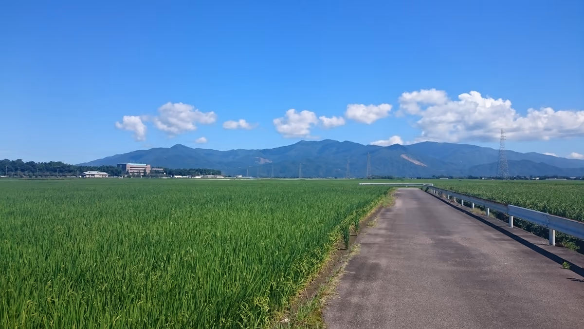 投稿写真：カントリーロード