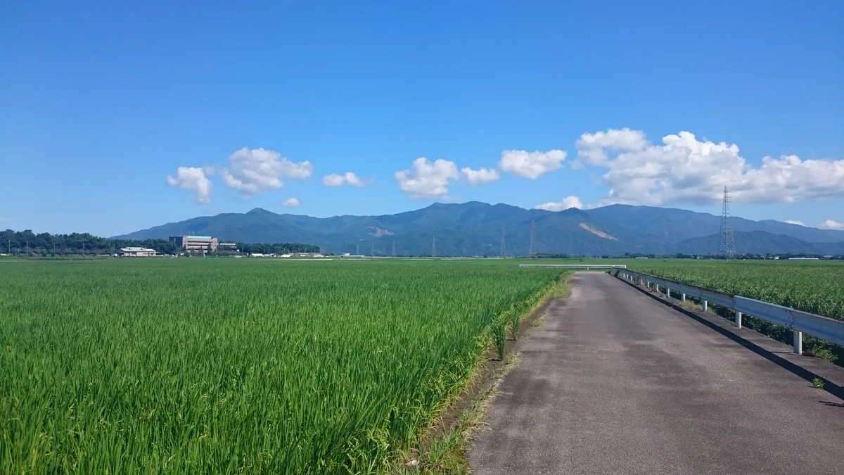 投稿写真：カントリーロード