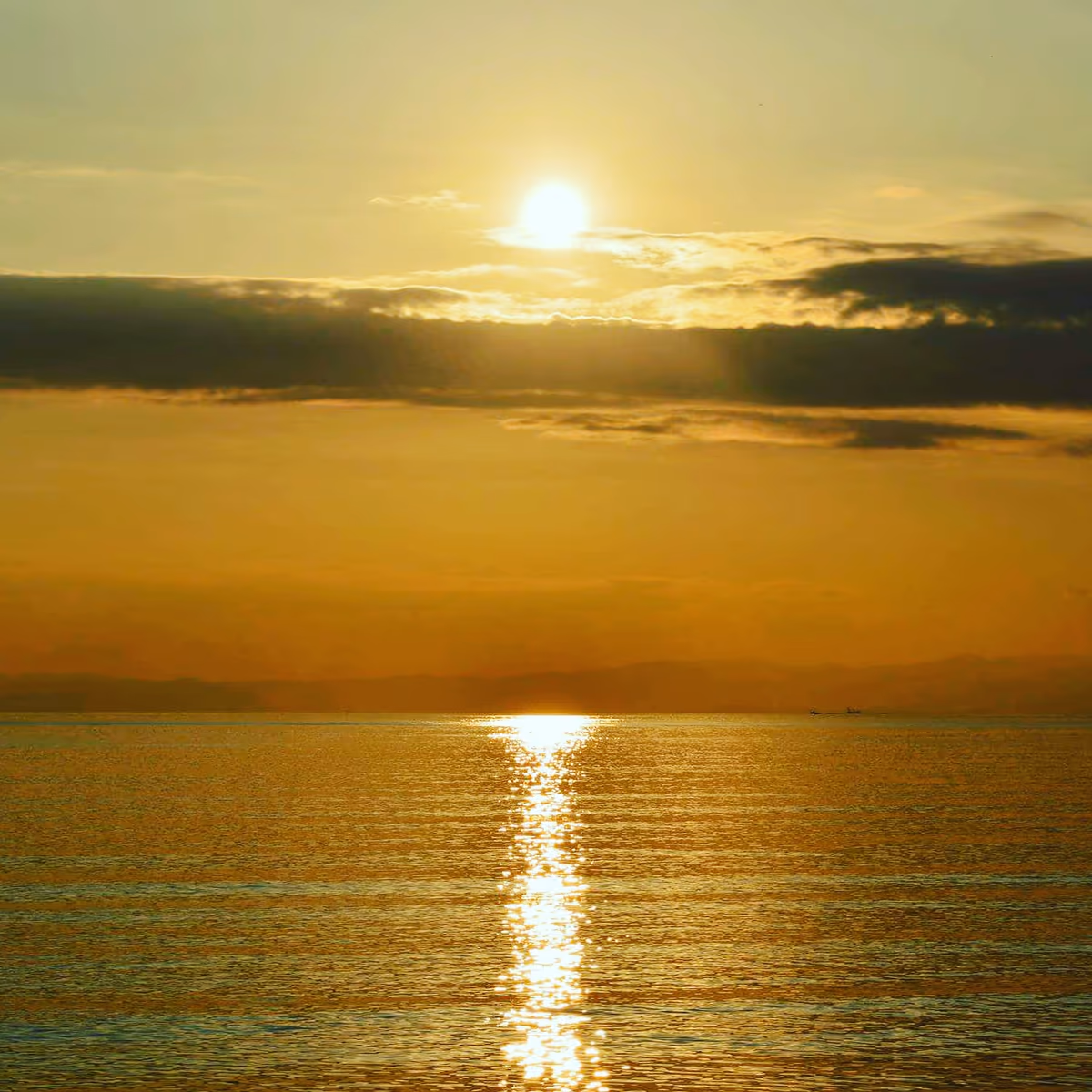 投稿写真：湘南海岸の夕景