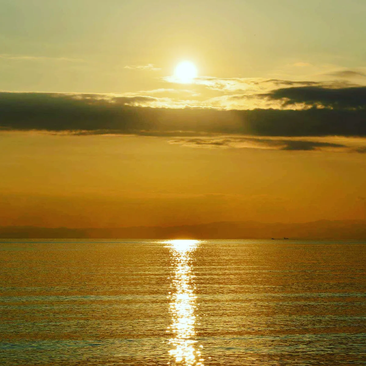 投稿写真：湘南海岸の夕景