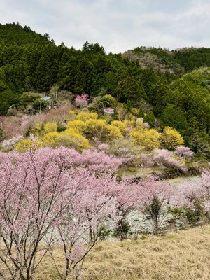  | 絶景事典