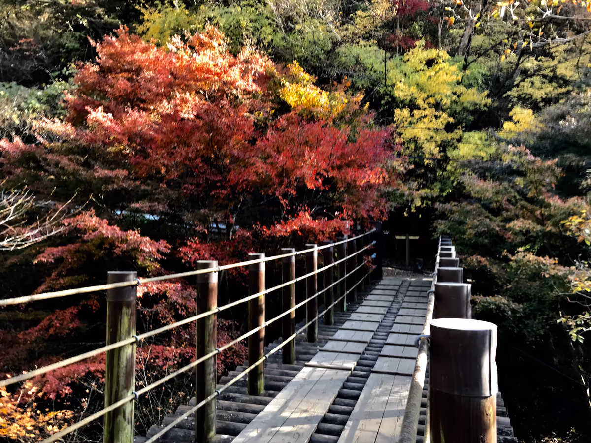 投稿写真：渓流のせせらぎを聞きながら紅葉狩り🎵