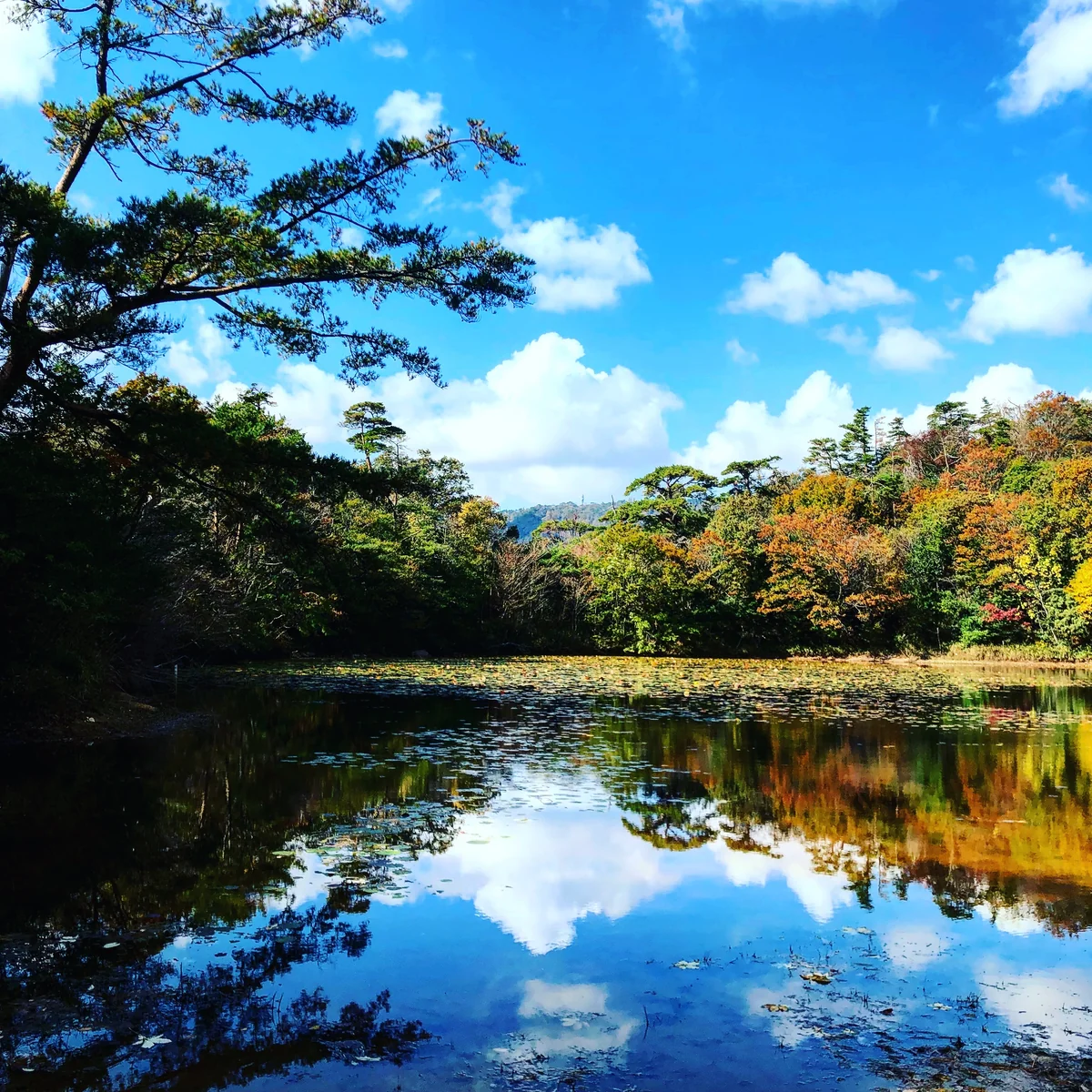 投稿写真：My.Rokko