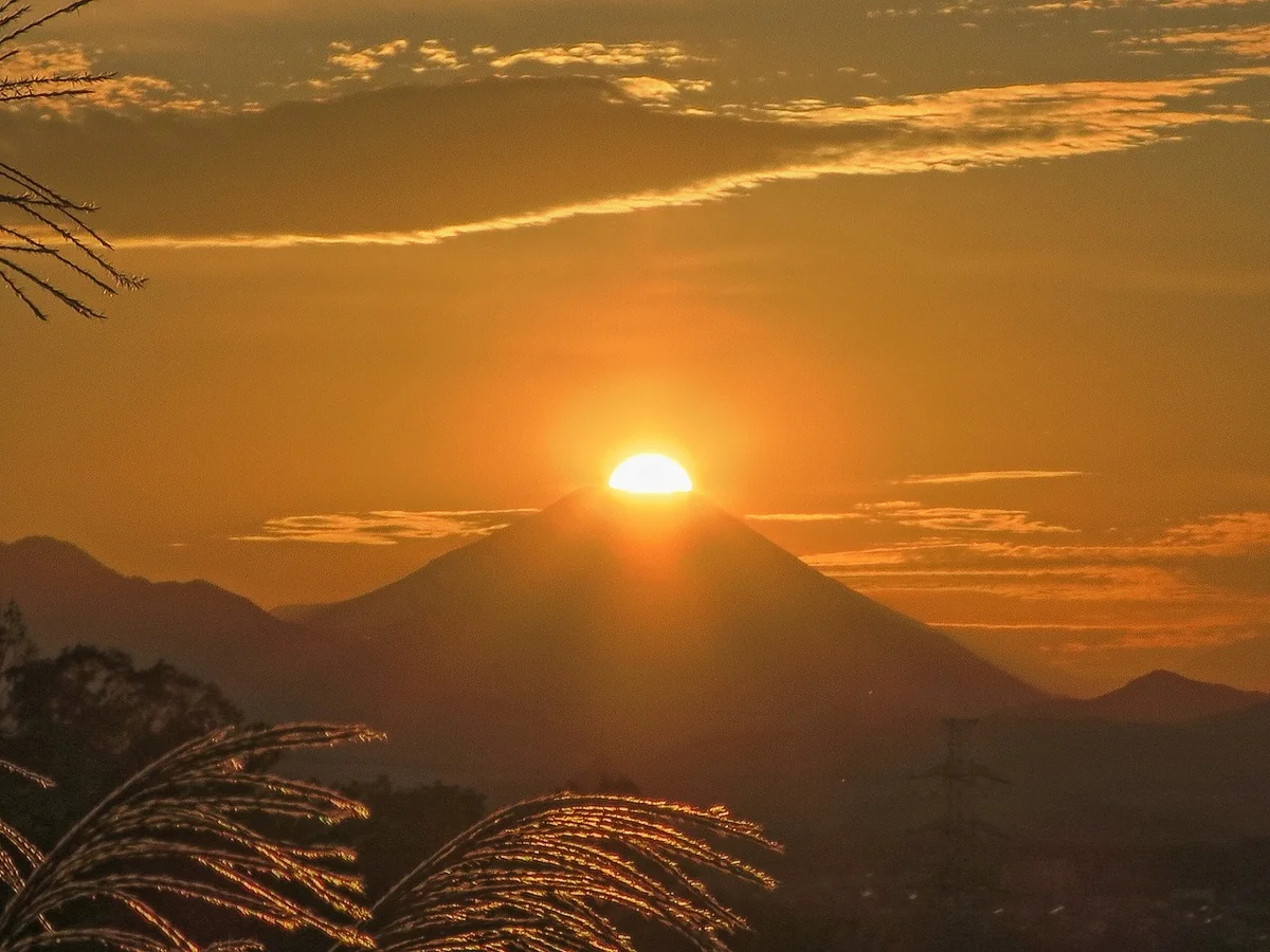 投稿写真：ススキダイヤモンド富士