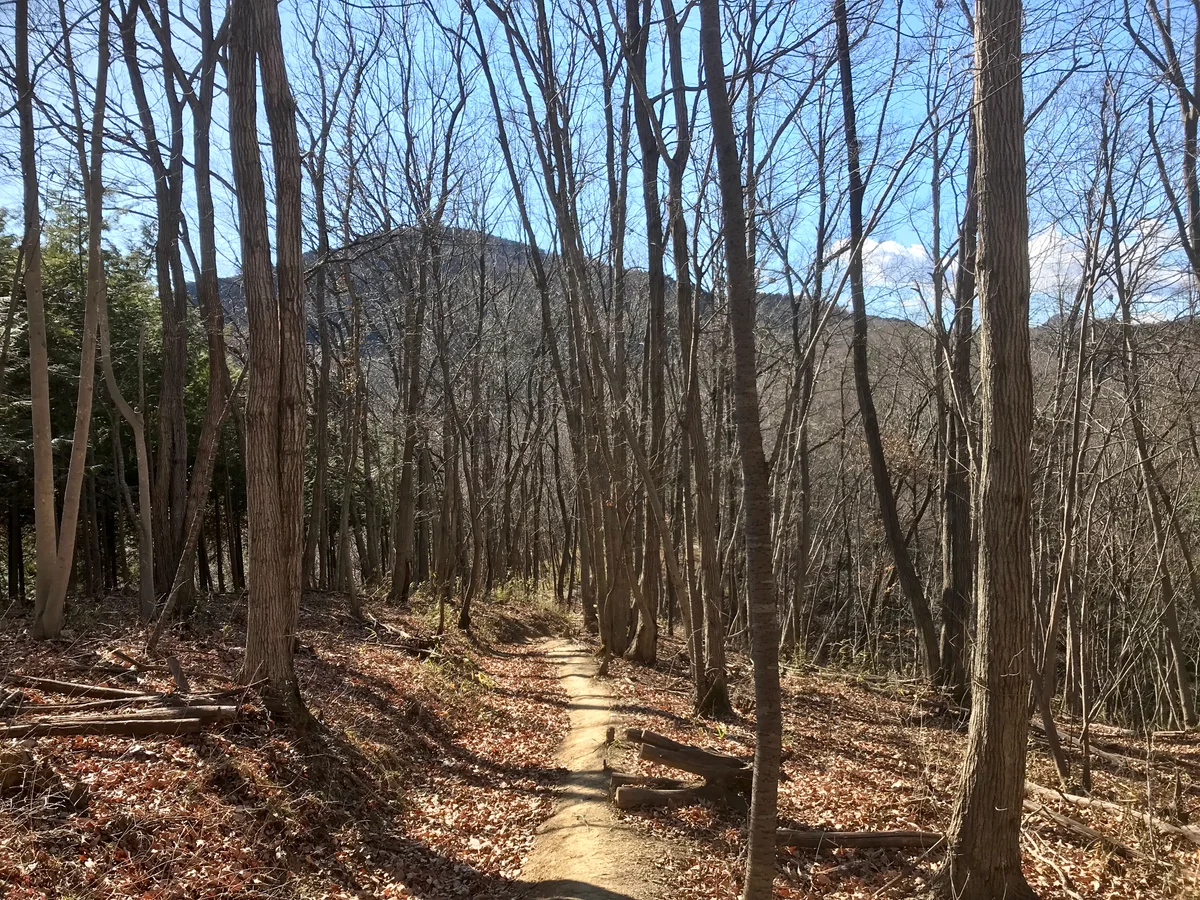 投稿写真：宝登山への道