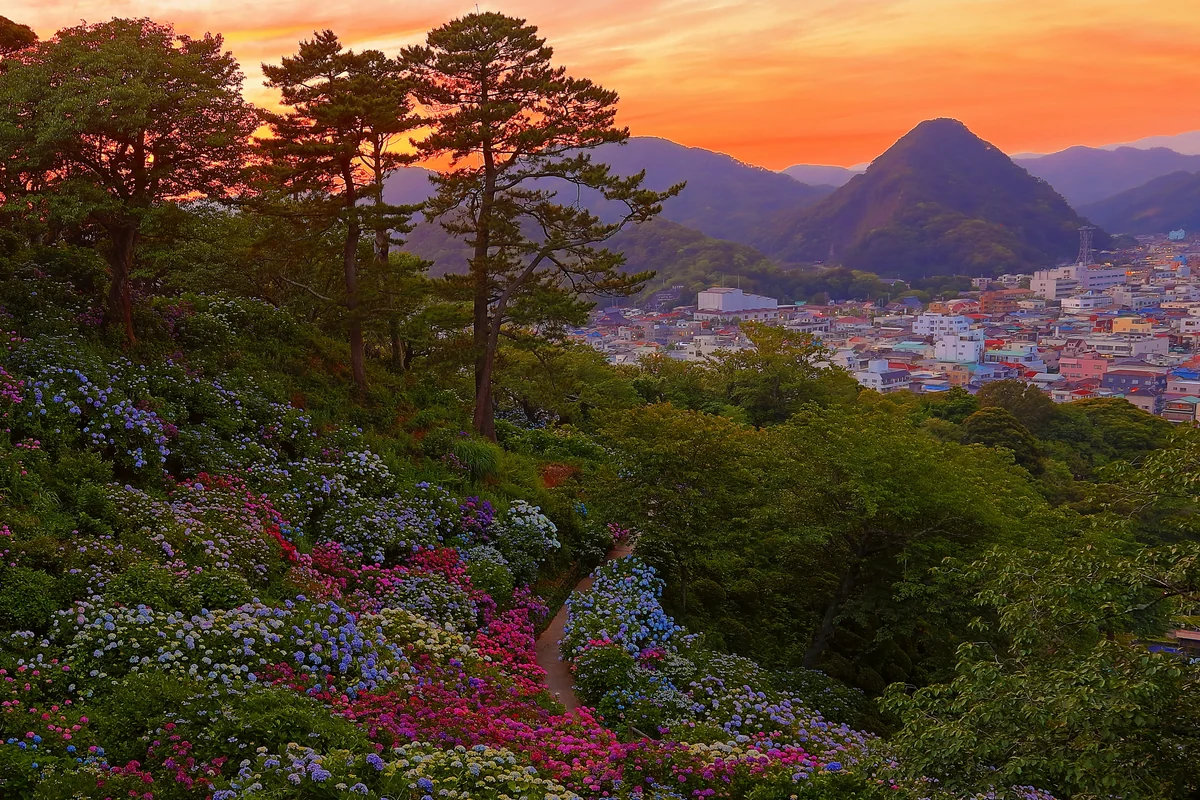 溝口 崇さんの投稿写真