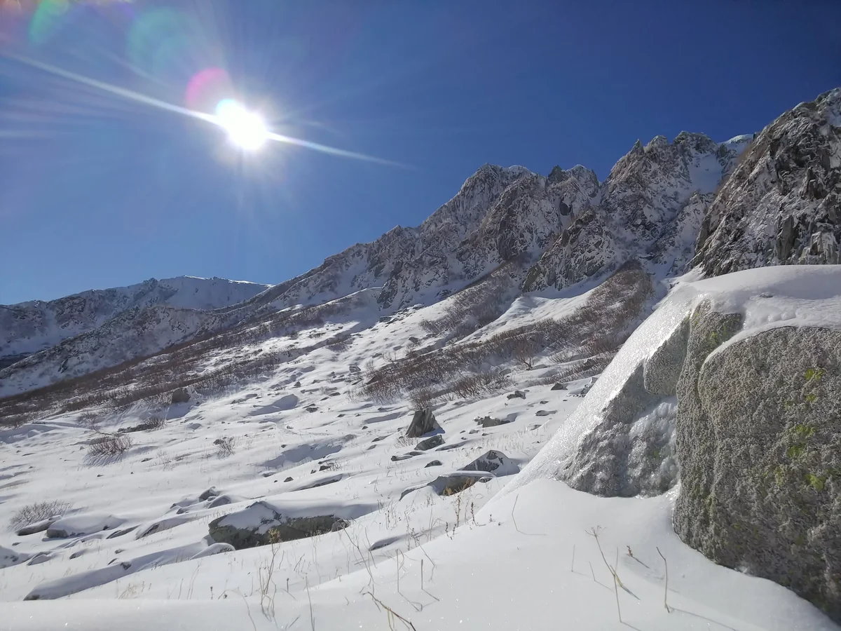投稿写真：白銀のカール