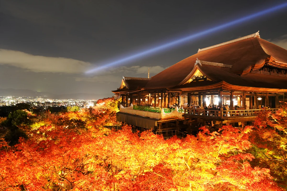 投稿写真：ライトアップされた紅葉の清水寺