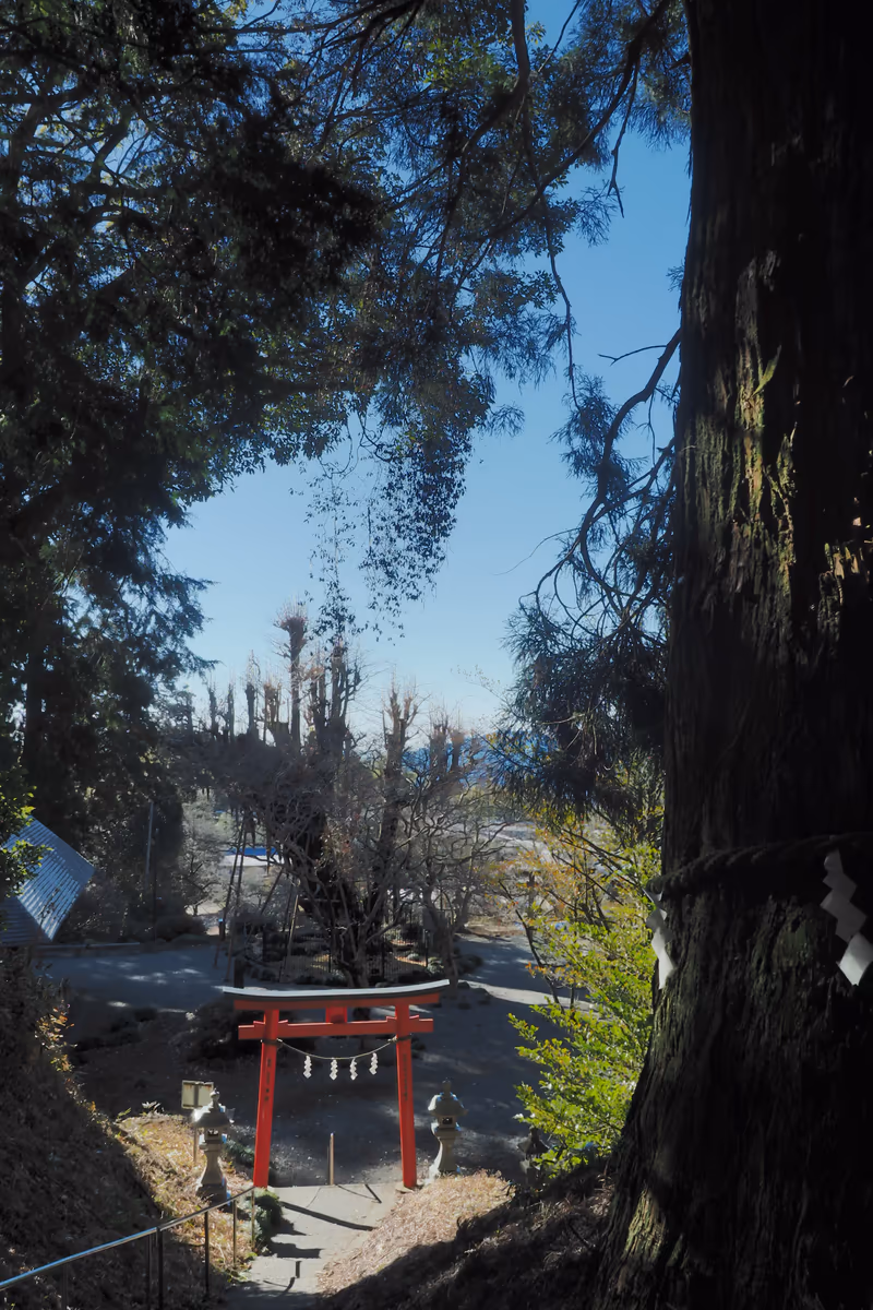 投稿写真：村山浅間神社