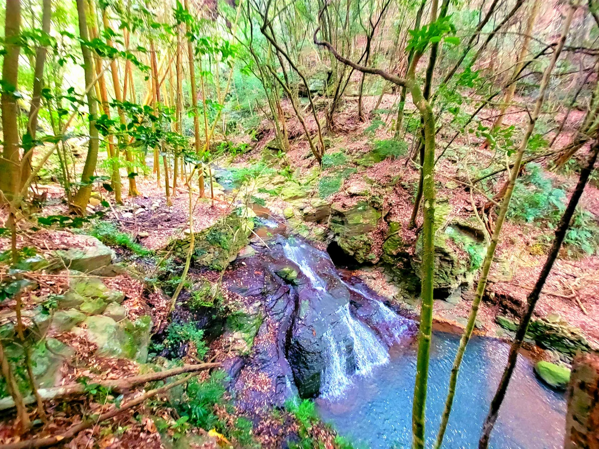 投稿写真：鳴滝の滝壺