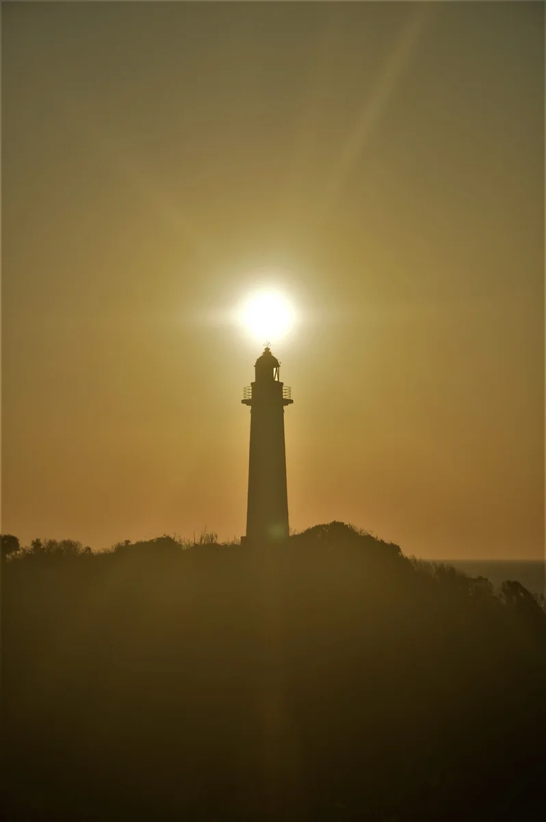 野人さんの投稿写真