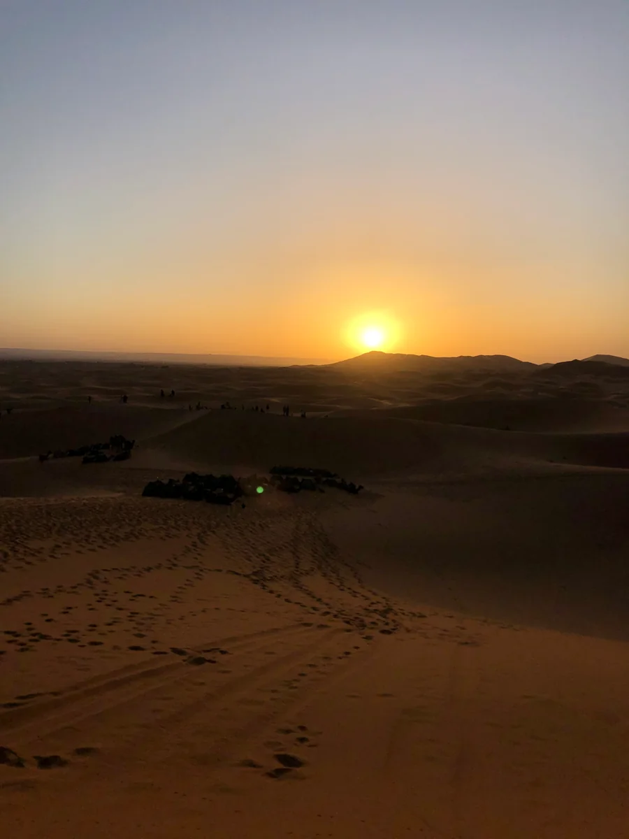 投稿写真：朝焼けのサハラ砂漠