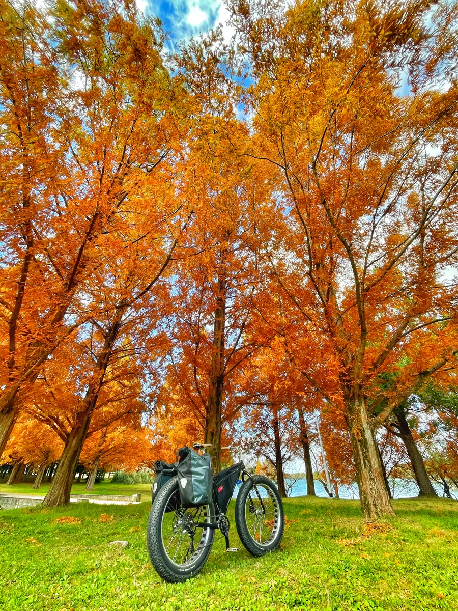 投稿写真：公園