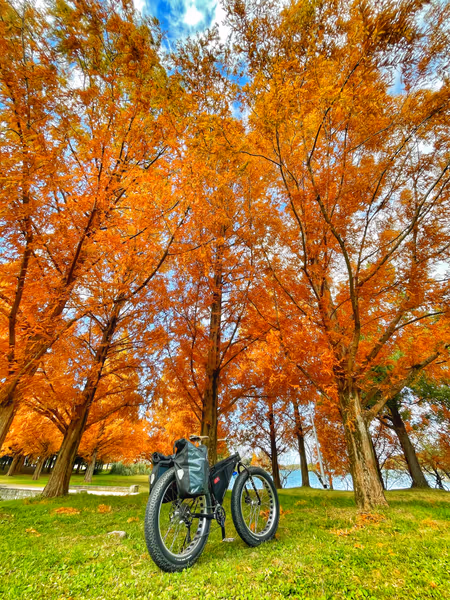 投稿：公園