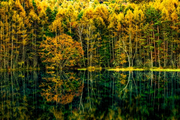 投稿：秋のリフレクション